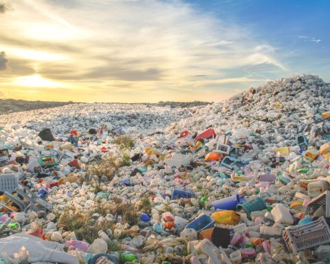 Tonnellate Plastica Rifiuti