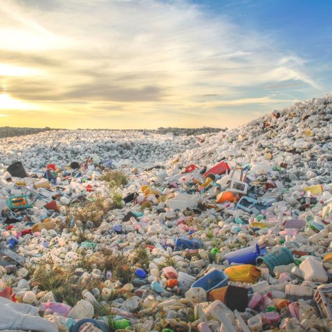 Tonnellate Plastica Rifiuti Canva