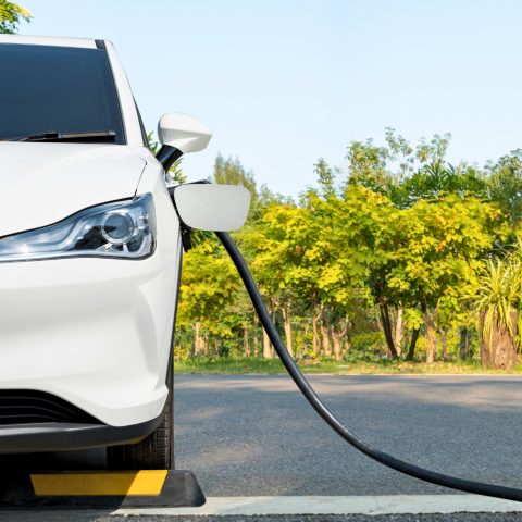 Auto Elettrica Canva