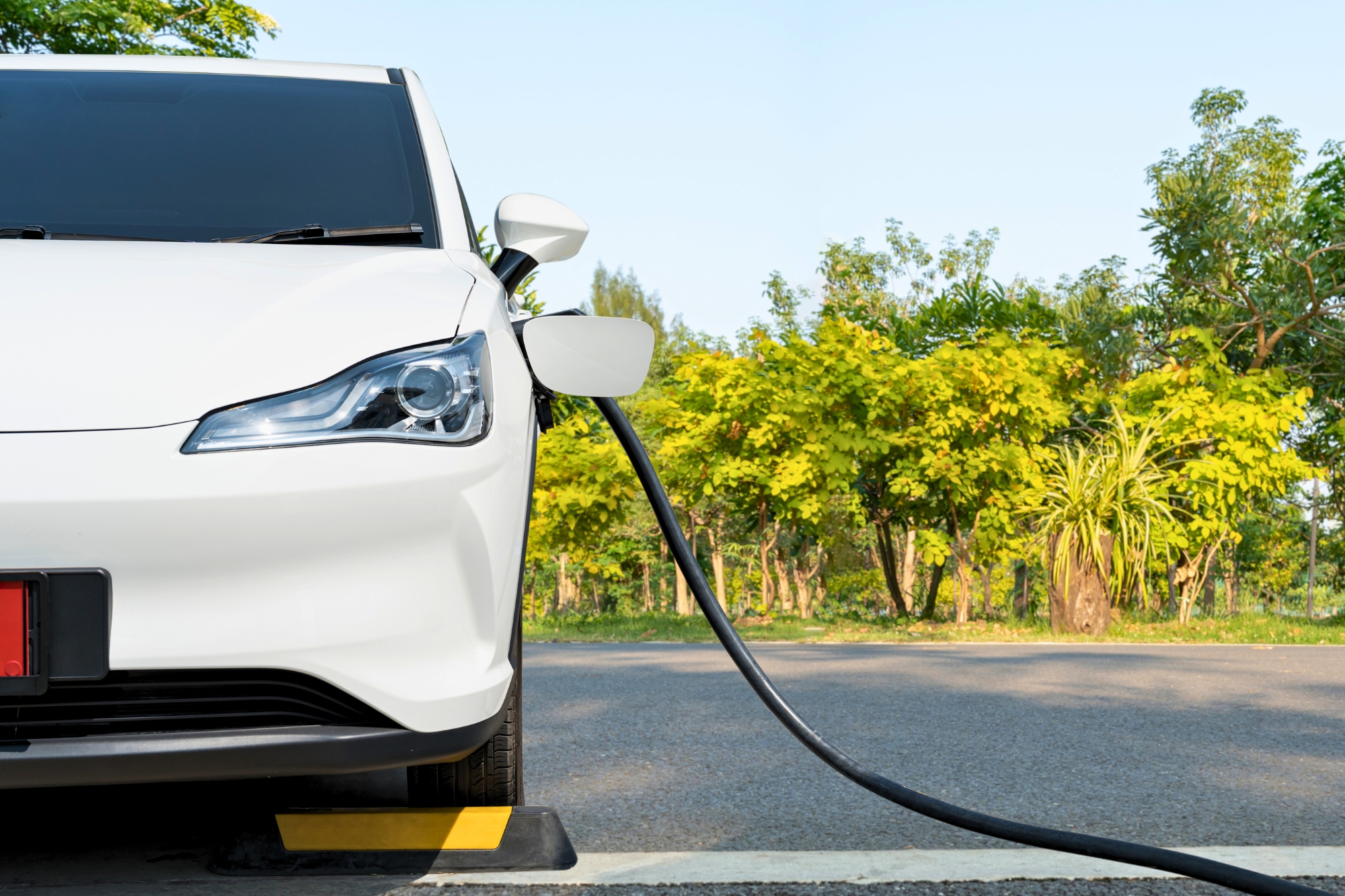 Auto Elettrica Canva