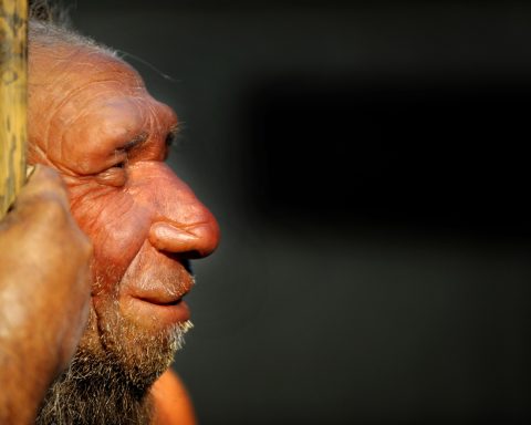 Uomo Di Neanderthal Ipa Ftg