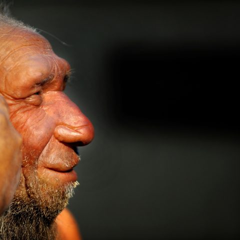 Uomo Di Neanderthal Ipa Ftg