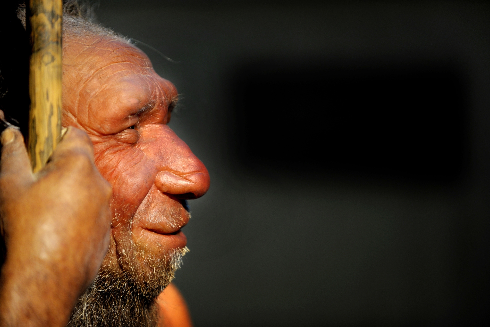Uomo Di Neanderthal Ipa Ftg