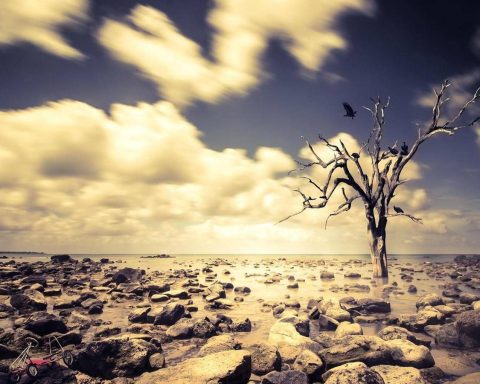 Luglio 2025 è Il Terzo Più Caldo, Stop A Serie Record