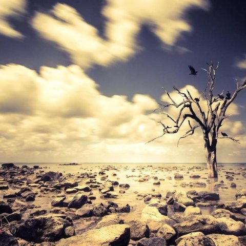 Luglio 2025 è Il Terzo Più Caldo, Stop A Serie Record