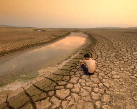 Crisi Acqua Dolce Canva
