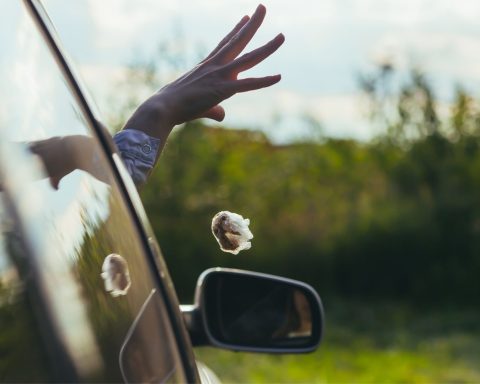 Rifiuti Finestrino Auto Canva
