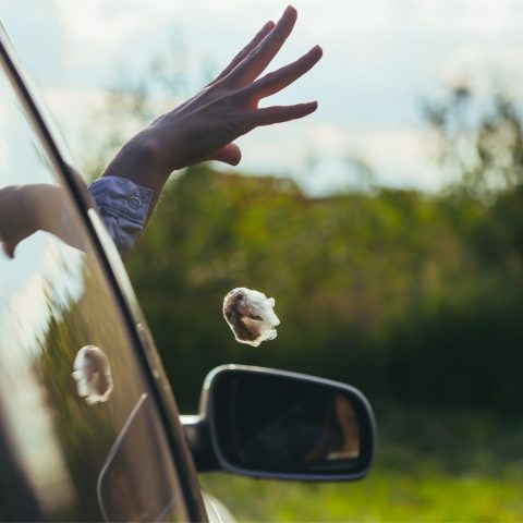 Rifiuti Finestrino Auto Canva
