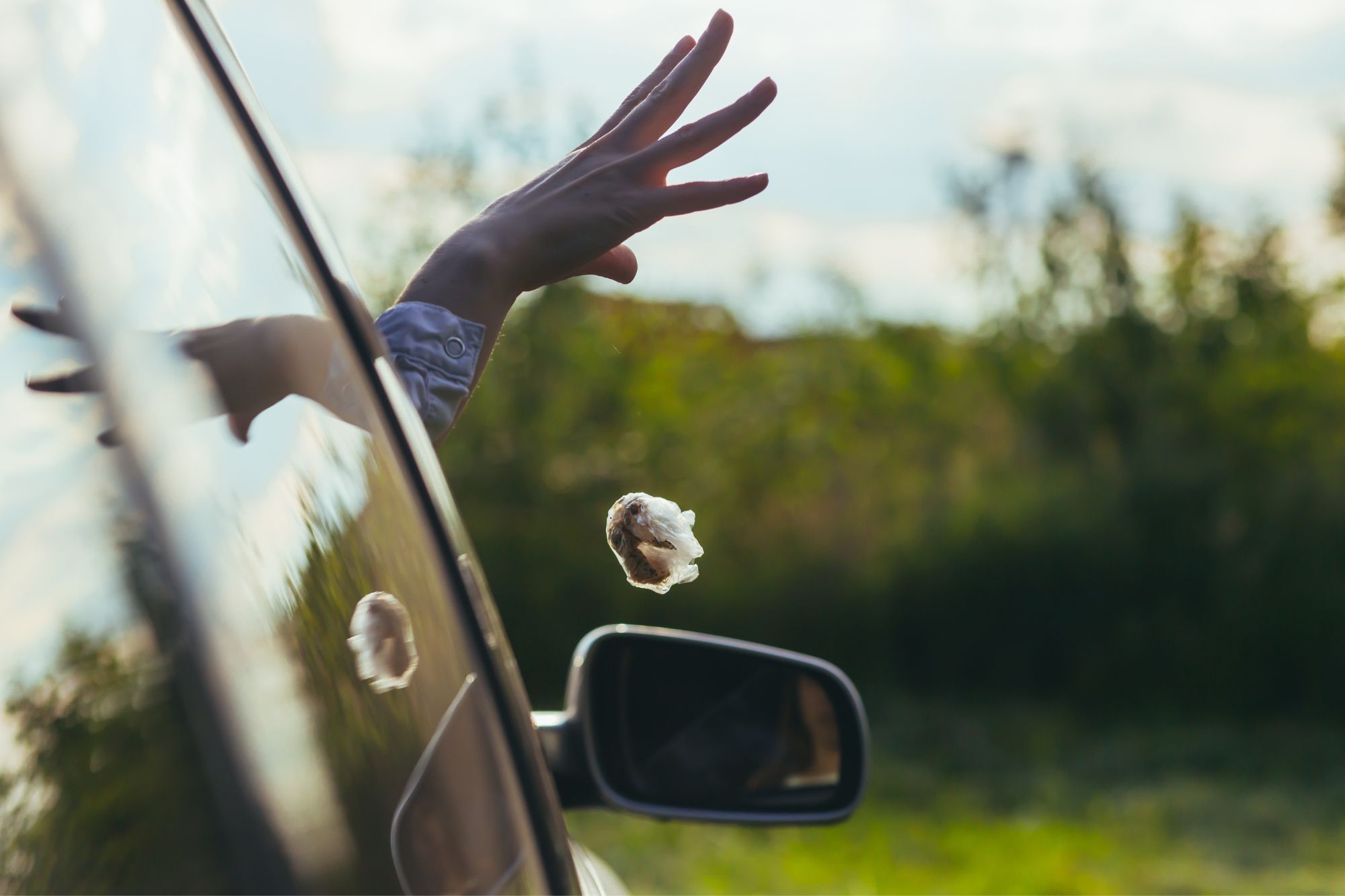 Rifiuti Finestrino Auto Canva