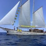 Mare, Il Bilancio Di Goletta Verde: Un Punto Inquinato Ogni 80 Km