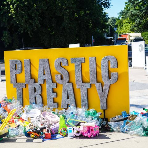 Ginevra, I Manifestanti Si Riuniscono Per L'ultimo Round Di Negoziati Per Elaborare Un Trattato Globale Sulla Plastica Giuridicamente Vincolante