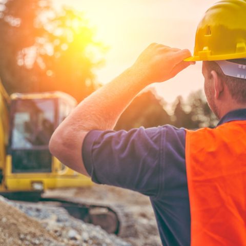 Lavoratori Caldo Canva