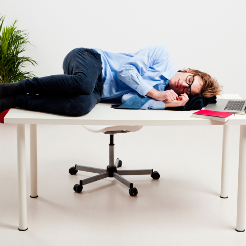Dormire Ufficio