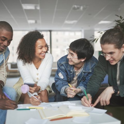 Studenti Extra Ue Canva