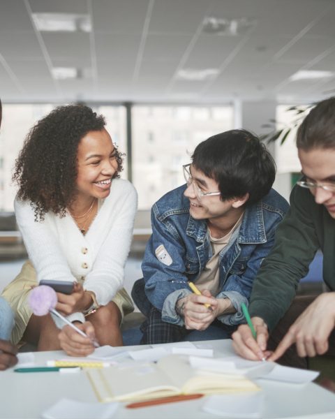 Studenti Extra Ue Canva