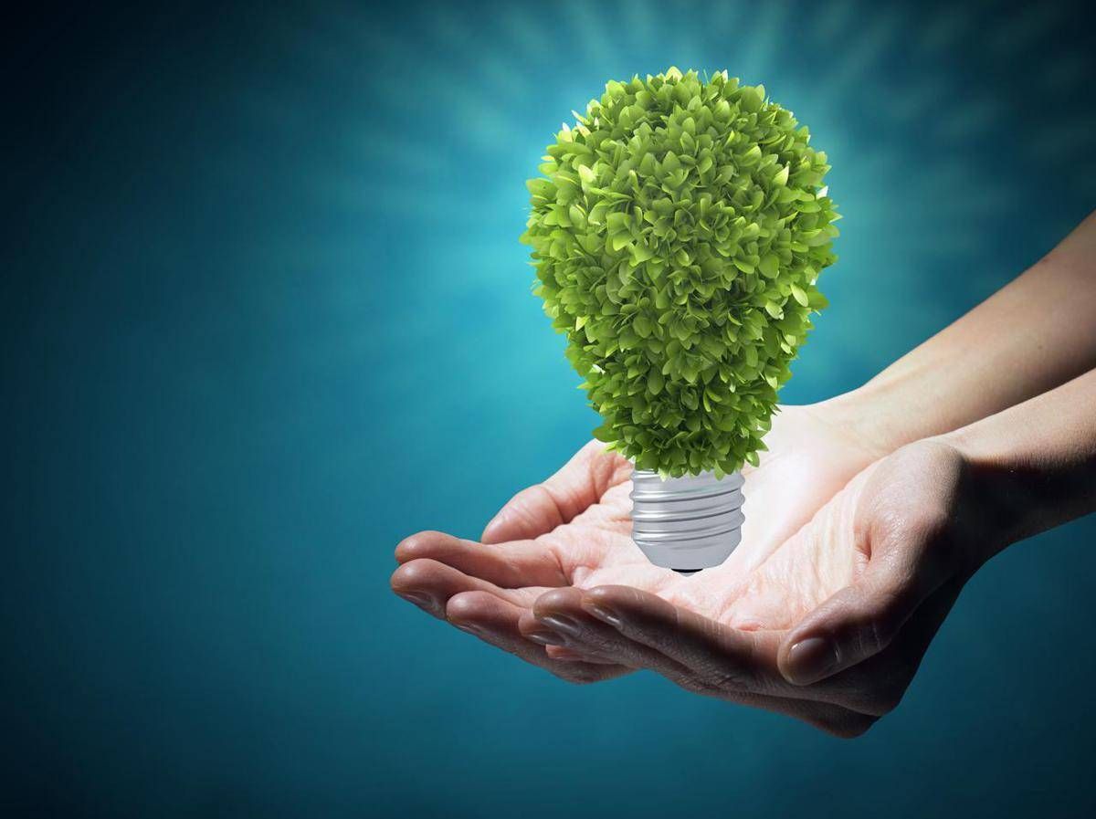 Premi 'pimby (please In My Back Yard) Green 2025', I Vincitori