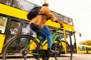 Mobilita Bus