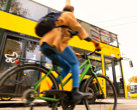 Mobilita Bus