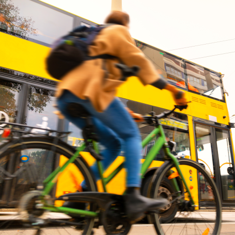 Mobilita Bus
