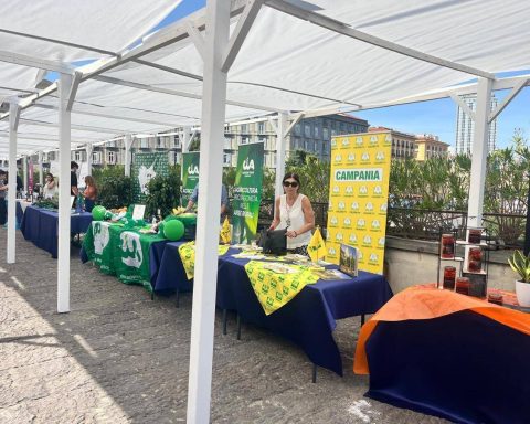 Agricoltura, Nomisma Fotografa Futuro Campania, Tra Criticità Strutturali E Crescita Export