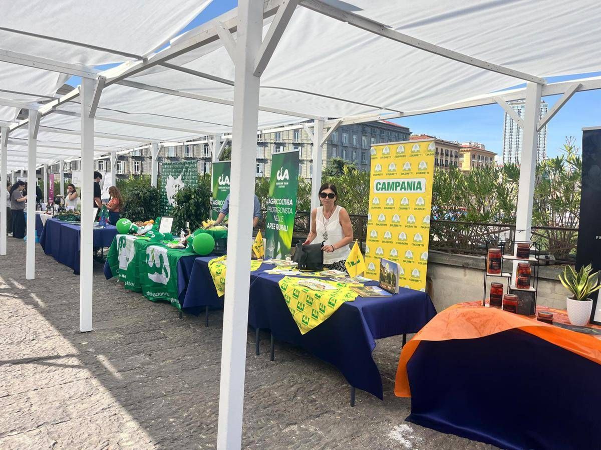 Agricoltura, Nomisma Fotografa Futuro Campania, Tra Criticità Strutturali E Crescita Export