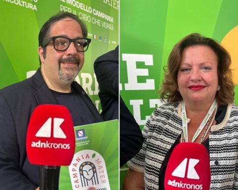 Agricoltura, Giordano E Del Giudice: "modello Campania Nasce Dal Confronto, Cambiamento Solo Se Condiviso"
