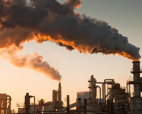 Ondate Calore Aziende Canva