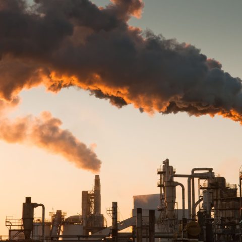Ondate Calore Aziende Canva