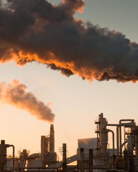 Ondate Calore Aziende Canva