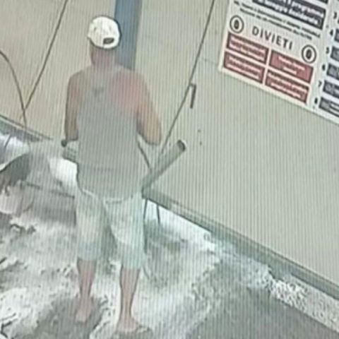 Cane Autolavaggio Biella Carabinieri