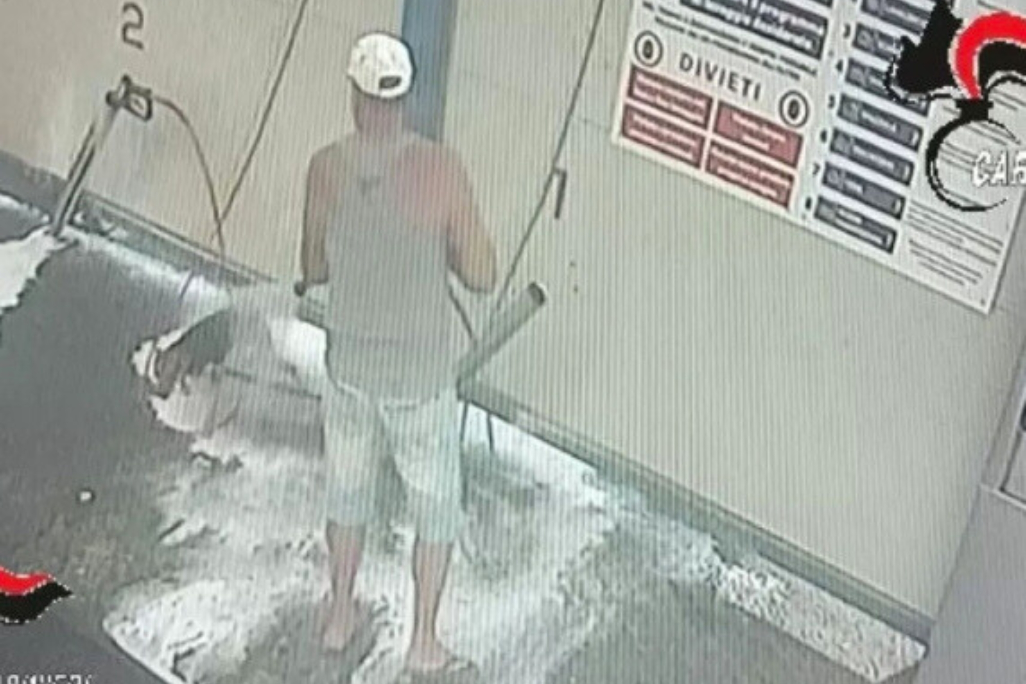 Cane Autolavaggio Biella Carabinieri
