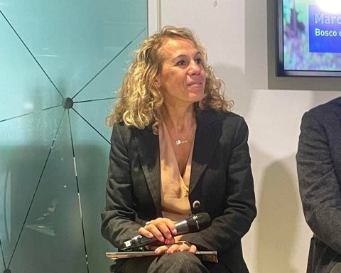 Ambiente, Colombo (sorgenia): "#rigeneraboschi Per Foreste Più Resilienti"