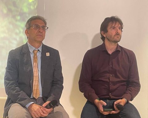Ambiente, Vacchiano (unimi): "gestione Forestale Va Adattata Al Contesto"