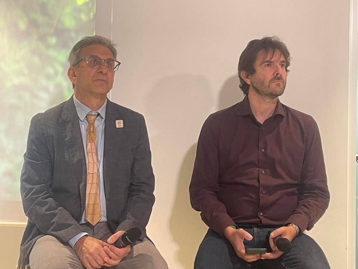 Ambiente, Vacchiano (unimi): "gestione Forestale Va Adattata Al Contesto"
