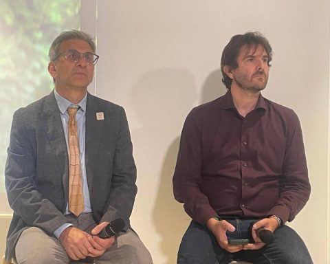 Ambiente, Brunori (pefc): "#rigeneraboschi Comunica Il Valore Delle Foreste"