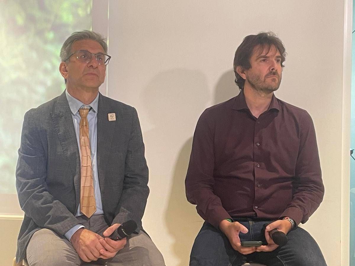 Ambiente, Brunori (pefc): "#rigeneraboschi Comunica Il Valore Delle Foreste"