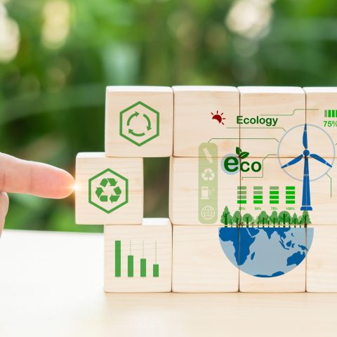Green Economy Canva