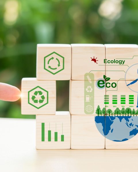Green Economy Canva