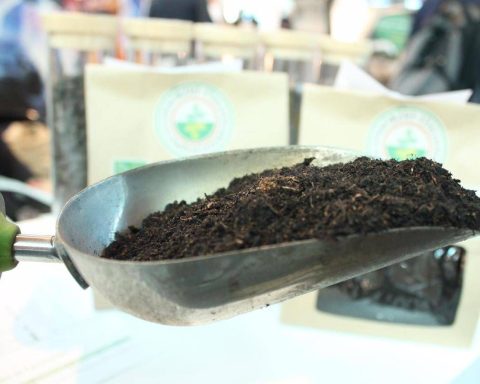 Compost Ed Energia, I Numeri Del Riciclo Organico In Italia
