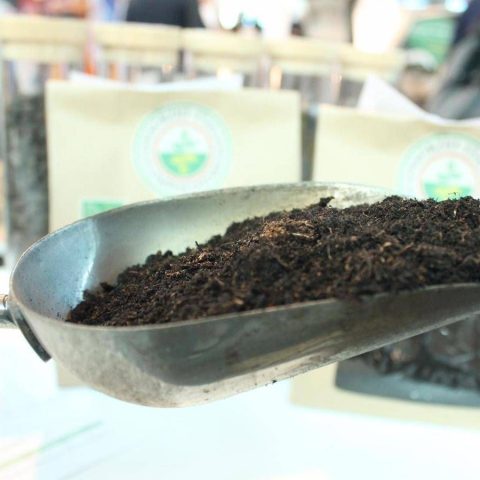 Compost Ed Energia, I Numeri Del Riciclo Organico In Italia