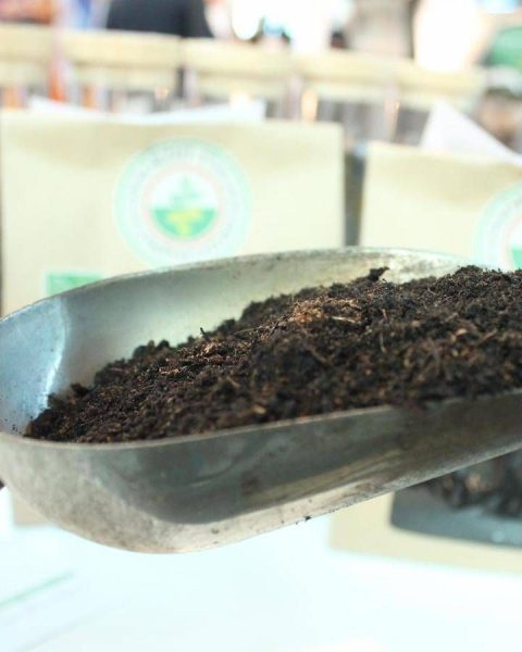 Compost Ed Energia, I Numeri Del Riciclo Organico In Italia