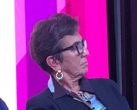 Energia, Bertini (enea): "efficienza E Rinnovabili Devono Andare In Parallelo"