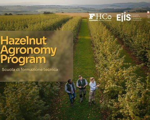 Sostenibilità, Al Via L’hazelnut Agronomy Program: Scuola Tecnica Dedicata Al Nocciolo