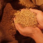 Giornata Mondiale Alimentazione Storyblocks