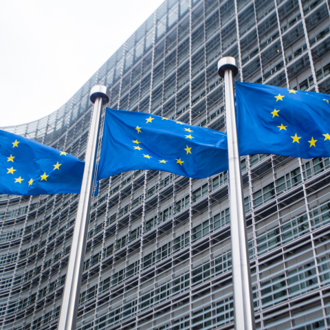 Bandiere Ue
