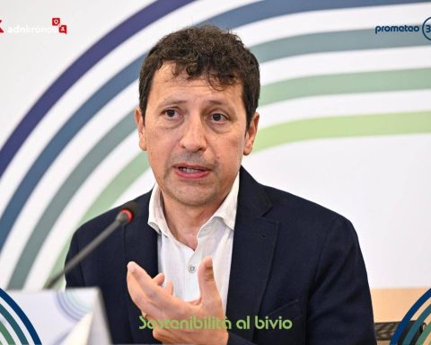 Pasceri (subito.it): "per Second Hand Giro D'affari Di 27 Miliardi"