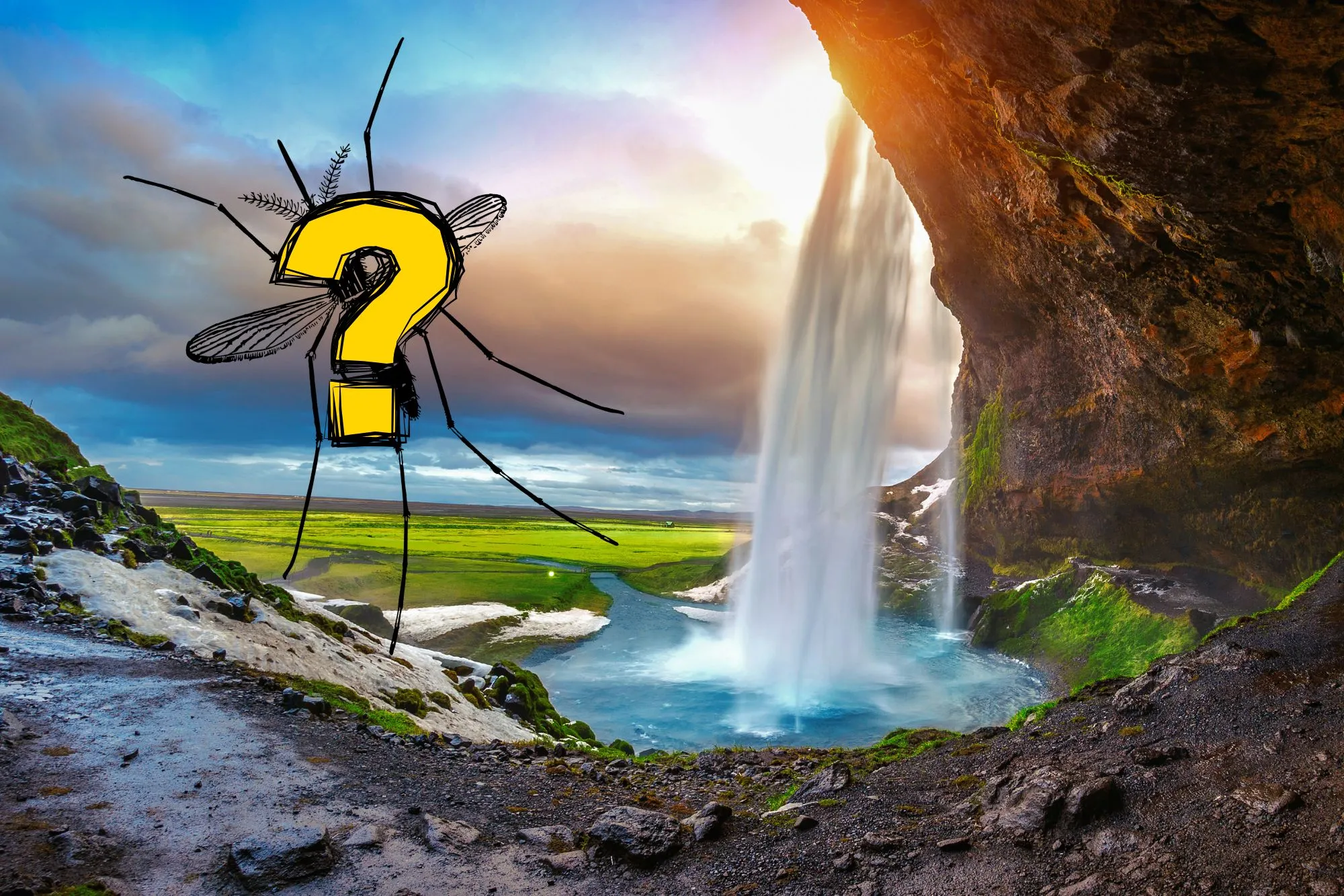 Insetto misterioso su paesaggio islandese