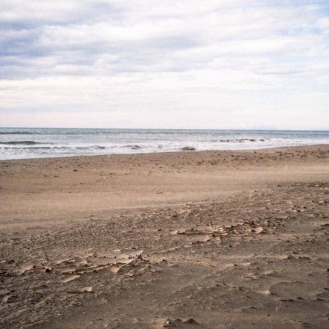 Spiagge A Rischio, 1 Su 5 Può Sparire Entro Il 2050: Dove Scatta L'allarme