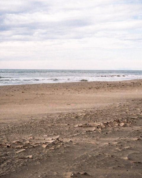 Spiagge A Rischio, 1 Su 5 Può Sparire Entro Il 2050: Dove Scatta L'allarme