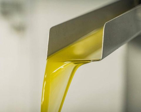 Rifiuti, Renoils: La Raccolta Degli Oli Esausti Cresciuta Del 2,4% Nel 2024